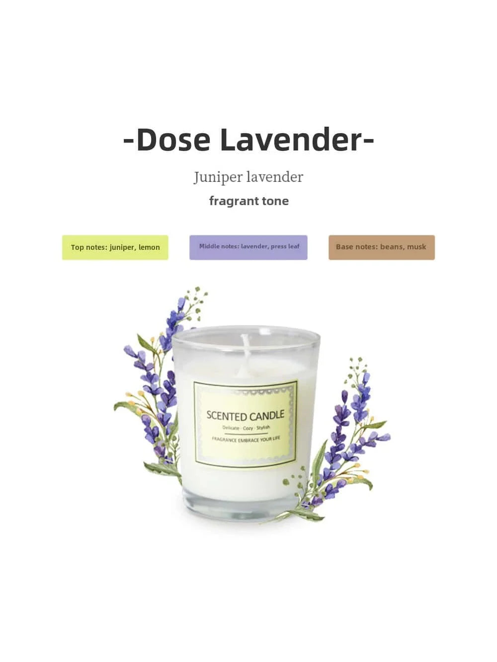 Candle Fragrance Atmosphere Companion