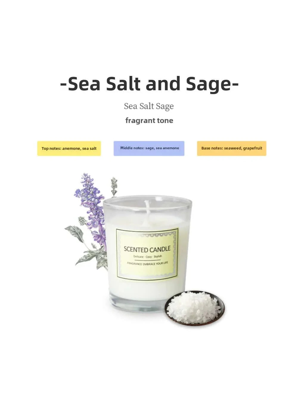 Candle Fragrance Atmosphere Companion